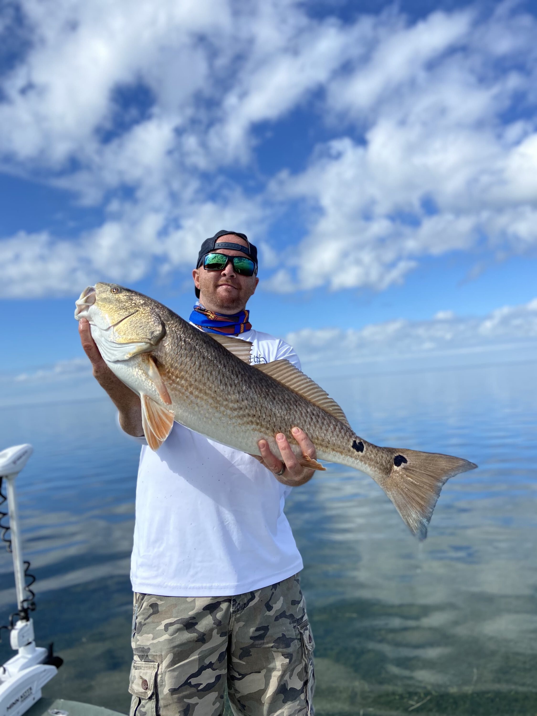 Scamp Grouper Fishing Charters in Crystal River