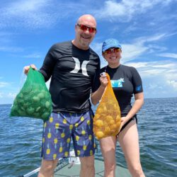 Scalloping in Crystal River Florida