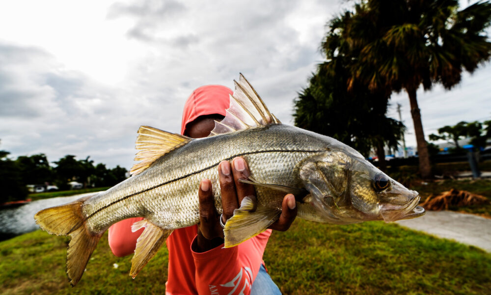 crystal river fishing