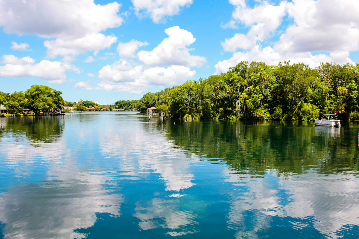 what fish are in crystal river 