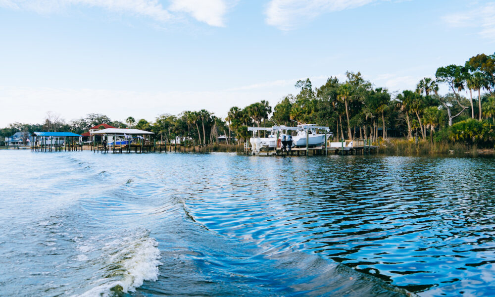 crystal river fishing charter trip